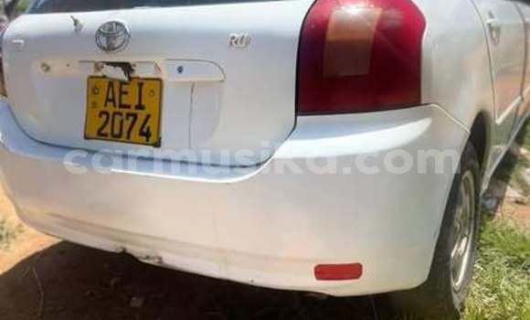 Buy Used Toyota Runx Other Car in Harare in Harare Buy Used Toyota Runx Other Car in Harare in Harare