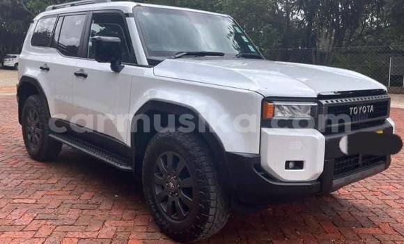 Buy Used Toyota Land Cruiser Prado White Car in Harare in Harare Buy Used Toyota Land Cruiser Prado White Car in Harare in Harare