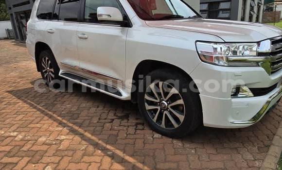 Tenga Tsaru Toyota Land Cruiser Chena Mota in Harare in Harare
