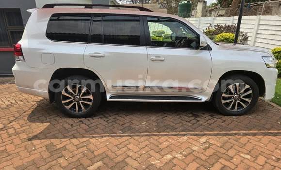 Acheter Occasion Voiture Toyota Land Cruiser Blanc à Harare, Harare Acheter Occasion Voiture Toyota Land Cruiser Blanc à Harare, Harare
