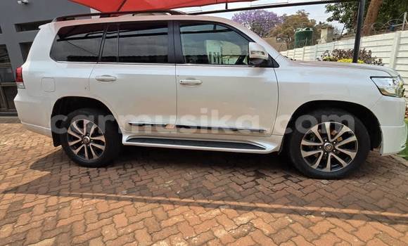 Acheter Occasion Voiture Toyota Land Cruiser Blanc à Harare, Harare Acheter Occasion Voiture Toyota Land Cruiser Blanc à Harare, Harare