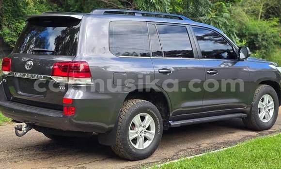 Acheter Occasion Voiture Toyota Land Cruiser Noir à Harare, Harare Acheter Occasion Voiture Toyota Land Cruiser Noir à Harare, Harare