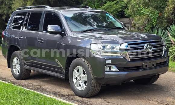 Acheter Occasion Voiture Toyota Land Cruiser Noir à Harare, Harare Acheter Occasion Voiture Toyota Land Cruiser Noir à Harare, Harare
