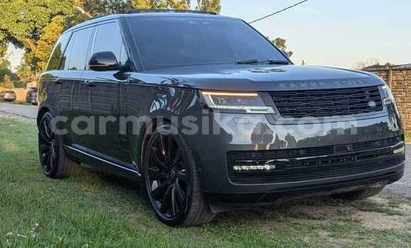 Tenga Tsaru Land Rover Range Rover Vogue Nhema Mota in Harare in Harare