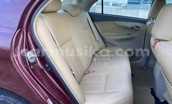 Tenga Tsaru Toyota Axio Tsvuku Mota in Beitbridge in Matabeleland South Tenga Tsaru Toyota Axio Tsvuku Mota in Beitbridge in Matabeleland South