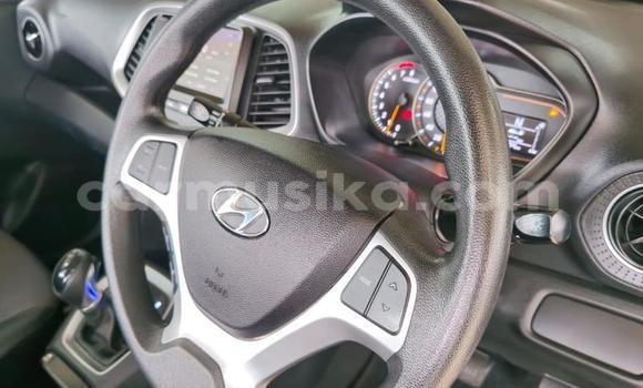 Acheter Occasion Voiture Hyundai Atos Bleu à Beitbridge, Matabeleland South Acheter Occasion Voiture Hyundai Atos Bleu à Beitbridge, Matabeleland South