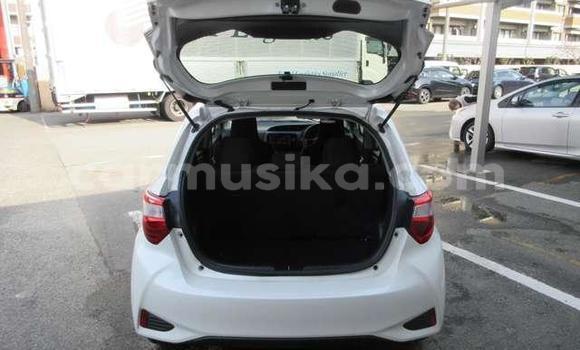 Tenga Tsaru Toyota Vitz Chena Mota in Avondale in Harare Tenga Tsaru Toyota Vitz Chena Mota in Avondale in Harare