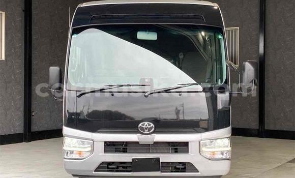 Tenga Tsaru Toyota Coaster Chena Mota in Beitbridge in Matabeleland South Tenga Tsaru Toyota Coaster Chena Mota in Beitbridge in Matabeleland South