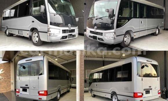 Tenga Tsaru Toyota Coaster Chena Mota in Beitbridge in Matabeleland South Tenga Tsaru Toyota Coaster Chena Mota in Beitbridge in Matabeleland South