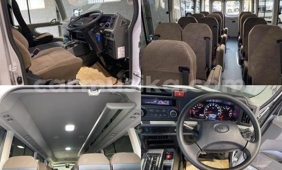 Tenga Tsaru Toyota Coaster Chena Mota in Beitbridge in Matabeleland South Tenga Tsaru Toyota Coaster Chena Mota in Beitbridge in Matabeleland South