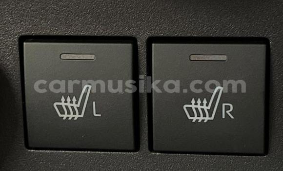 Acheter Occasion Voiture Toyota Ractis Noir à Beitbridge, Matabeleland South Acheter Occasion Voiture Toyota Ractis Noir à Beitbridge, Matabeleland South