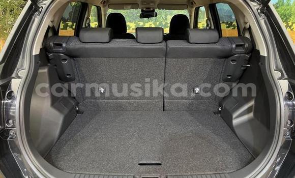 Acheter Occasion Voiture Toyota Ractis Noir à Beitbridge, Matabeleland South Acheter Occasion Voiture Toyota Ractis Noir à Beitbridge, Matabeleland South