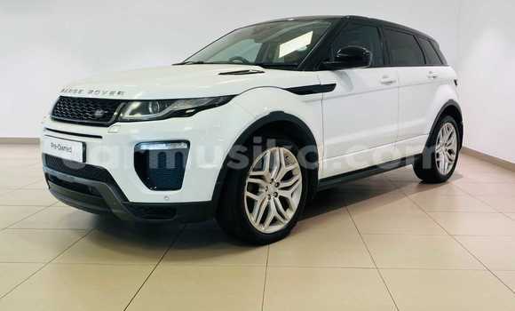 Buy Used Range Rover Evoque White Car in Beitbridge in Matabeleland South
