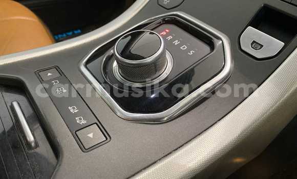 Tenga Tsaru Range Rover Evoque Chena Mota in Beitbridge in Matabeleland South Tenga Tsaru Range Rover Evoque Chena Mota in Beitbridge in Matabeleland South