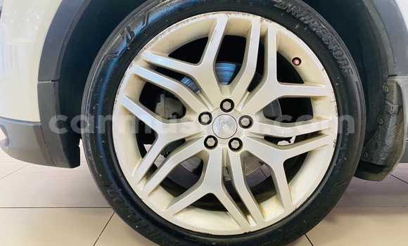 Tenga Tsaru Range Rover Evoque Chena Mota in Beitbridge in Matabeleland South Tenga Tsaru Range Rover Evoque Chena Mota in Beitbridge in Matabeleland South