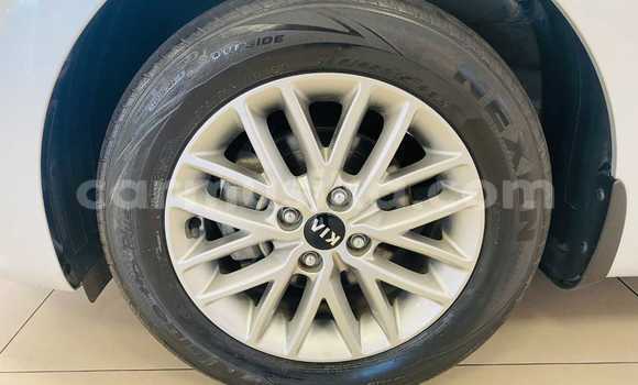 Tenga Tsaru Kia Rio Sirivha Mota in Alexandra Park in Harare Tenga Tsaru Kia Rio Sirivha Mota in Alexandra Park in Harare