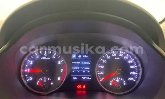 Tenga Tsaru Kia Rio Sirivha Mota in Alexandra Park in Harare Tenga Tsaru Kia Rio Sirivha Mota in Alexandra Park in Harare