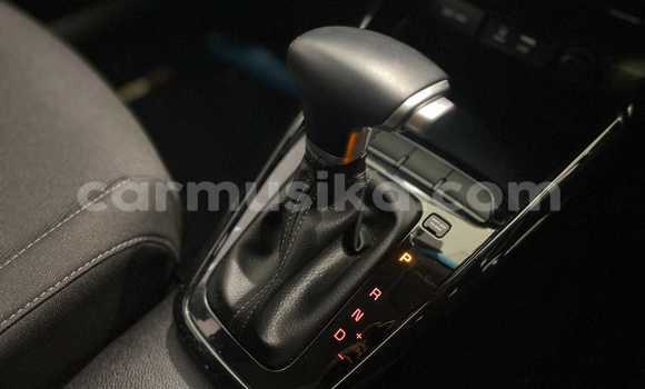 Tenga Tsaru Kia Rio Sirivha Mota in Alexandra Park in Harare Tenga Tsaru Kia Rio Sirivha Mota in Alexandra Park in Harare