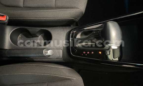 Tenga Tsaru Kia Rio Sirivha Mota in Alexandra Park in Harare Tenga Tsaru Kia Rio Sirivha Mota in Alexandra Park in Harare