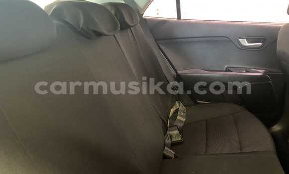 Tenga Tsaru Kia Rio Sirivha Mota in Alexandra Park in Harare Tenga Tsaru Kia Rio Sirivha Mota in Alexandra Park in Harare