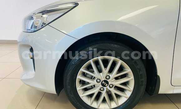 Tenga Tsaru Kia Rio Sirivha Mota in Alexandra Park in Harare Tenga Tsaru Kia Rio Sirivha Mota in Alexandra Park in Harare