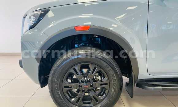 Tenga Tsaru Nissan Navara Sirivha Mota in Beitbridge in Matabeleland South Tenga Tsaru Nissan Navara Sirivha Mota in Beitbridge in Matabeleland South