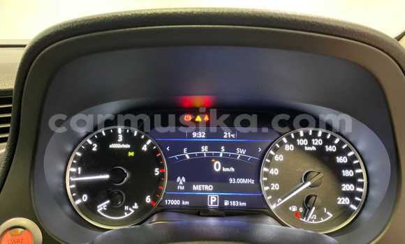 Tenga Tsaru Nissan Navara Sirivha Mota in Beitbridge in Matabeleland South Tenga Tsaru Nissan Navara Sirivha Mota in Beitbridge in Matabeleland South