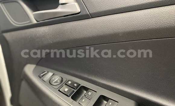 Acheter Occasion Voiture Hyundai Tucson Blanc à Alexandra Park, Harare Acheter Occasion Voiture Hyundai Tucson Blanc à Alexandra Park, Harare