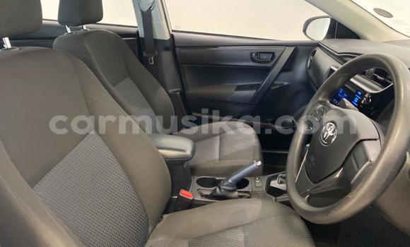 Acheter Occasion Voiture Toyota Corolla Blanc à Beitbridge, Matabeleland South Acheter Occasion Voiture Toyota Corolla Blanc à Beitbridge, Matabeleland South