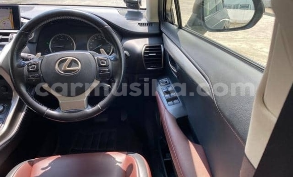 Buy Used Lexus NX Blue Car in Beitbridge in Matabeleland South Buy Used Lexus NX Blue Car in Beitbridge in Matabeleland South