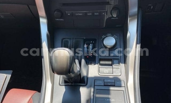 Buy Used Lexus NX Blue Car in Beitbridge in Matabeleland South Buy Used Lexus NX Blue Car in Beitbridge in Matabeleland South