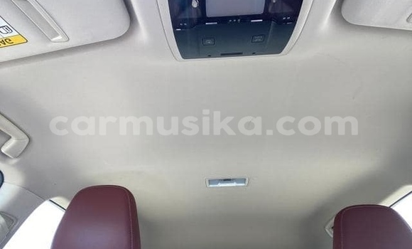 Buy Used Lexus NX Blue Car in Beitbridge in Matabeleland South Buy Used Lexus NX Blue Car in Beitbridge in Matabeleland South