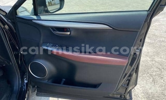 Buy Used Lexus NX Blue Car in Beitbridge in Matabeleland South Buy Used Lexus NX Blue Car in Beitbridge in Matabeleland South