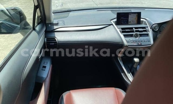 Buy Used Lexus NX Blue Car in Beitbridge in Matabeleland South Buy Used Lexus NX Blue Car in Beitbridge in Matabeleland South