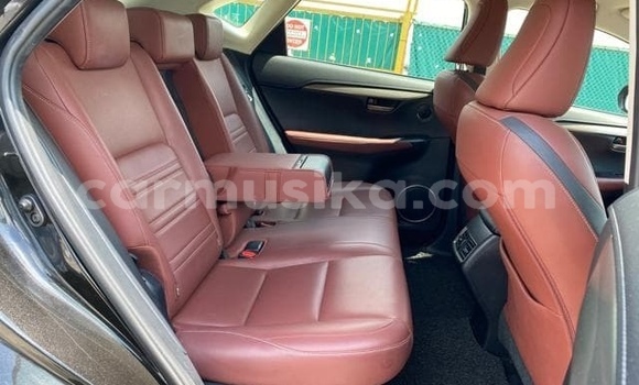 Buy Used Lexus NX Blue Car in Beitbridge in Matabeleland South Buy Used Lexus NX Blue Car in Beitbridge in Matabeleland South