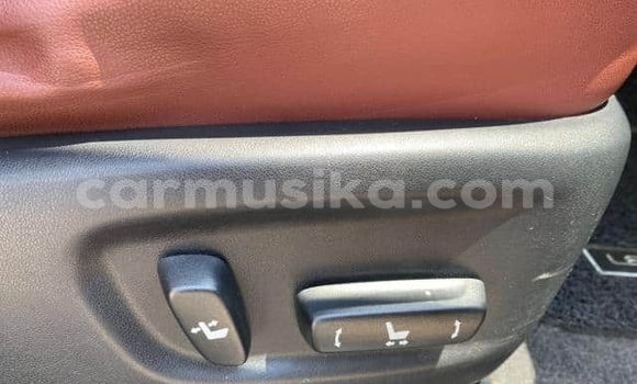 Buy Used Lexus NX Blue Car in Beitbridge in Matabeleland South Buy Used Lexus NX Blue Car in Beitbridge in Matabeleland South