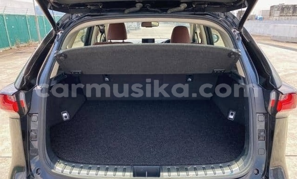 Buy Used Lexus NX Blue Car in Beitbridge in Matabeleland South Buy Used Lexus NX Blue Car in Beitbridge in Matabeleland South