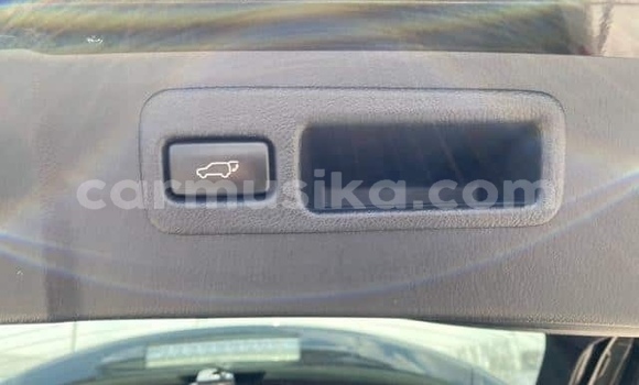 Buy Used Lexus NX Blue Car in Beitbridge in Matabeleland South Buy Used Lexus NX Blue Car in Beitbridge in Matabeleland South