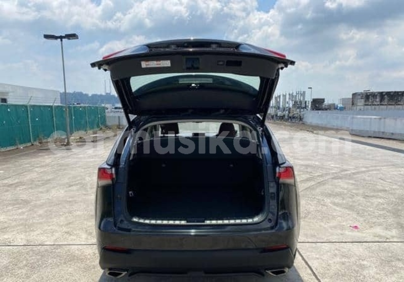 Big with watermark lexus nx matabeleland south beitbridge 36703