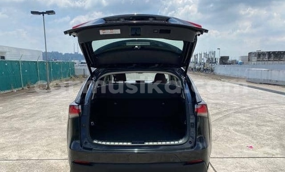 Buy Used Lexus NX Blue Car in Beitbridge in Matabeleland South Buy Used Lexus NX Blue Car in Beitbridge in Matabeleland South