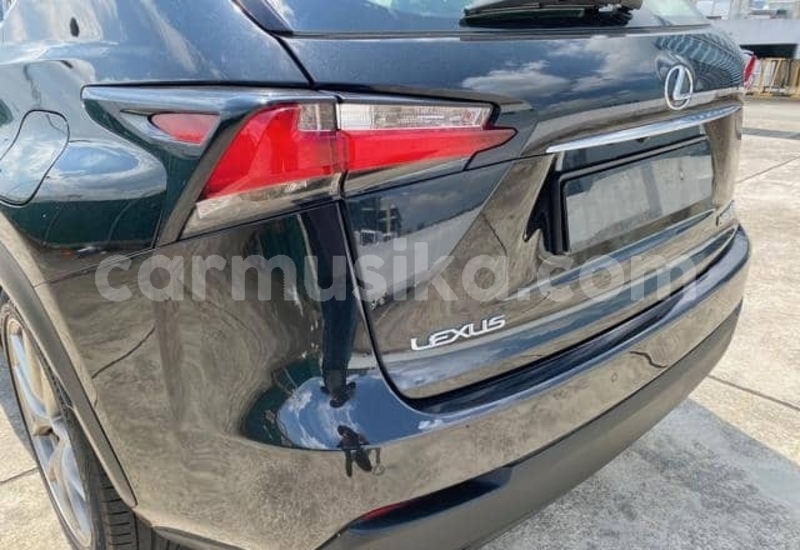 Big with watermark lexus nx matabeleland south beitbridge 36703