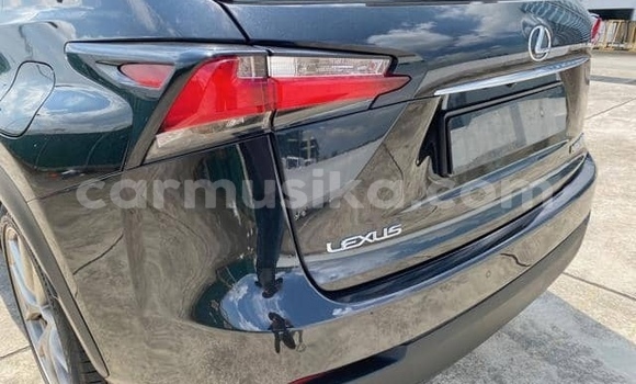 Buy Used Lexus NX Blue Car in Beitbridge in Matabeleland South Buy Used Lexus NX Blue Car in Beitbridge in Matabeleland South