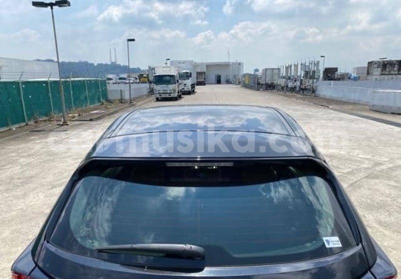 Big with watermark lexus nx matabeleland south beitbridge 36703