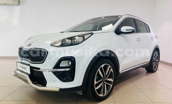 Buy Used Kia Sportage White Car in Beitbridge in Matabeleland South
