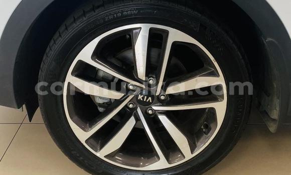 Acheter Occasion Voiture Kia Sportage Blanc à Beitbridge, Matabeleland South Acheter Occasion Voiture Kia Sportage Blanc à Beitbridge, Matabeleland South