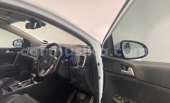 Acheter Occasion Voiture Kia Sportage Blanc à Beitbridge, Matabeleland South Acheter Occasion Voiture Kia Sportage Blanc à Beitbridge, Matabeleland South