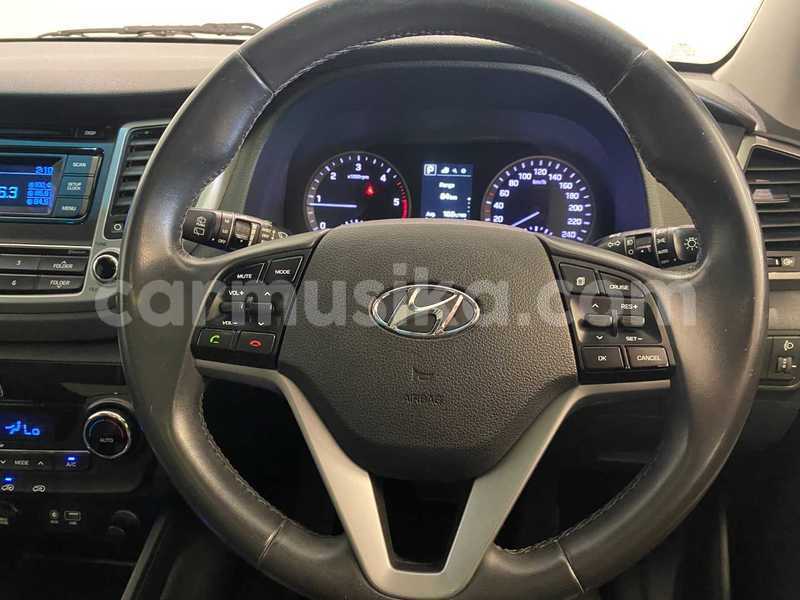 Big with watermark hyundai tucson matabeleland south beitbridge 36815