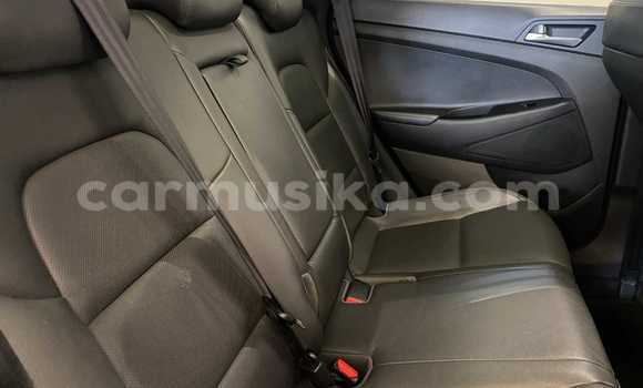 Acheter Occasion Voiture Hyundai Tucson Gris à Beitbridge, Matabeleland South Acheter Occasion Voiture Hyundai Tucson Gris à Beitbridge, Matabeleland South