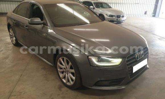 Tenga Tsaru Audi A4 Nhema Mota in Beitbridge in Matabeleland South Tenga Tsaru Audi A4 Nhema Mota in Beitbridge in Matabeleland South