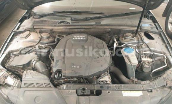 Tenga Tsaru Audi A4 Nhema Mota in Beitbridge in Matabeleland South Tenga Tsaru Audi A4 Nhema Mota in Beitbridge in Matabeleland South